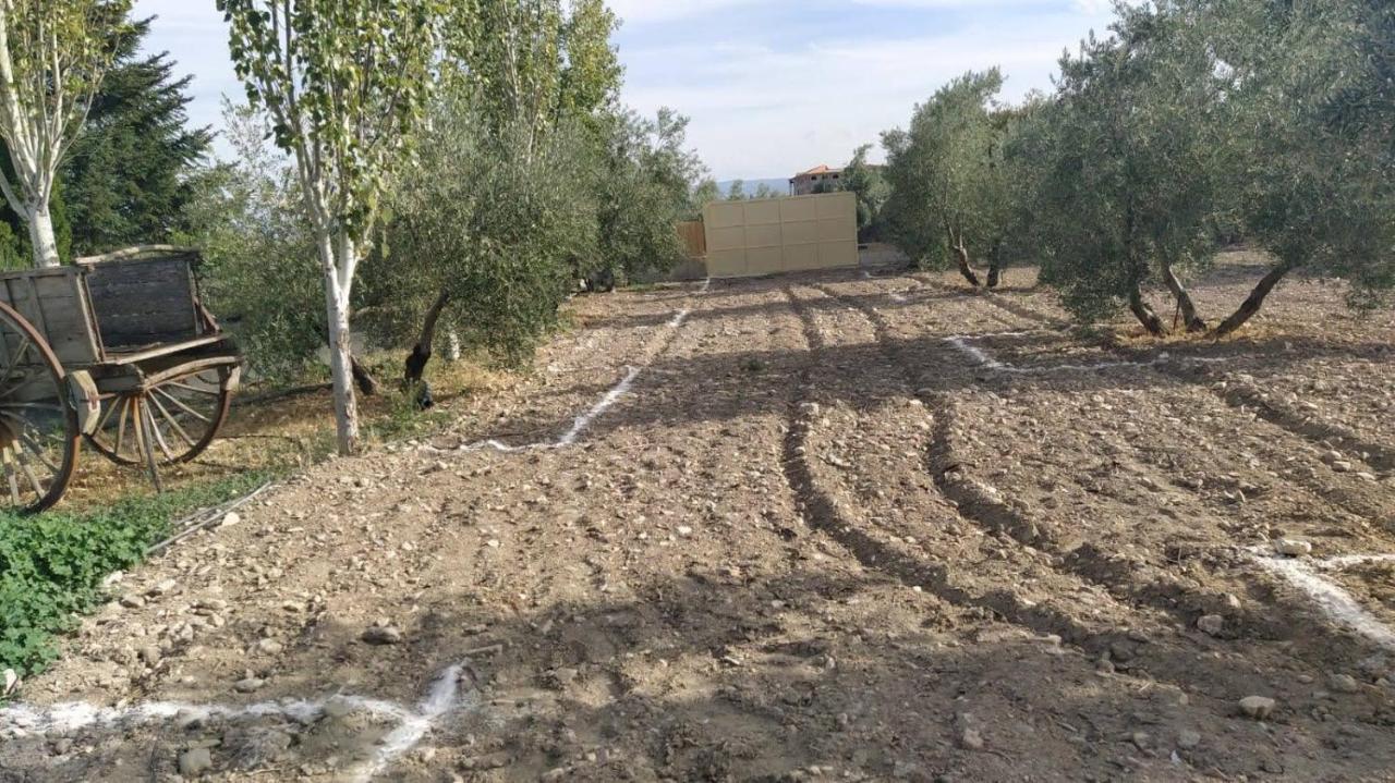 Cortijo La Torre De Caniles La Vega  Ngoại thất bức ảnh