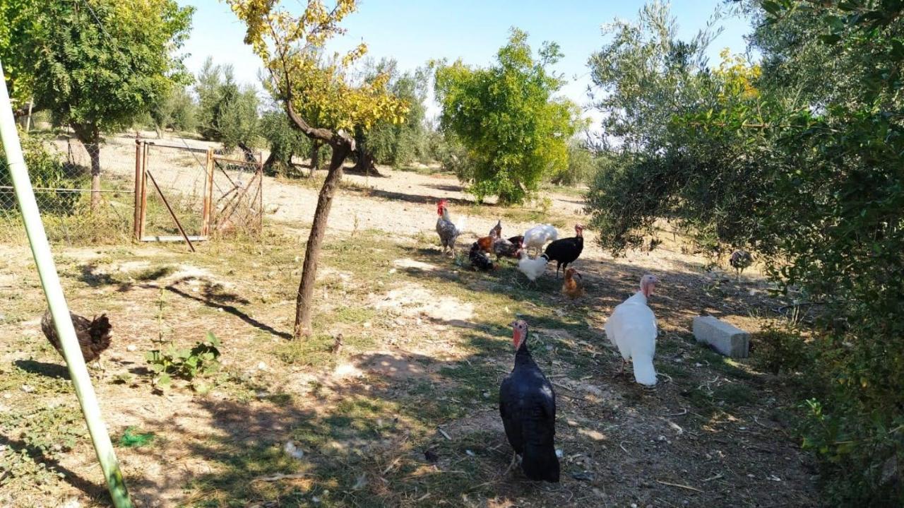 Cortijo La Torre De Caniles La Vega  Ngoại thất bức ảnh